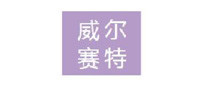 深圳市威尔赛特实业有限公司